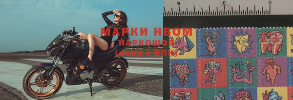 спайс Нея