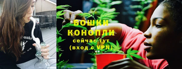 шишки Богородицк