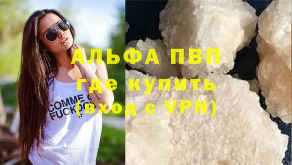 спайс Нея