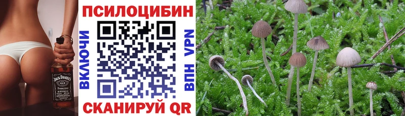 ссылка на мегу онион  Бор  Галлюциногенные грибы GOLDEN TEACHER 