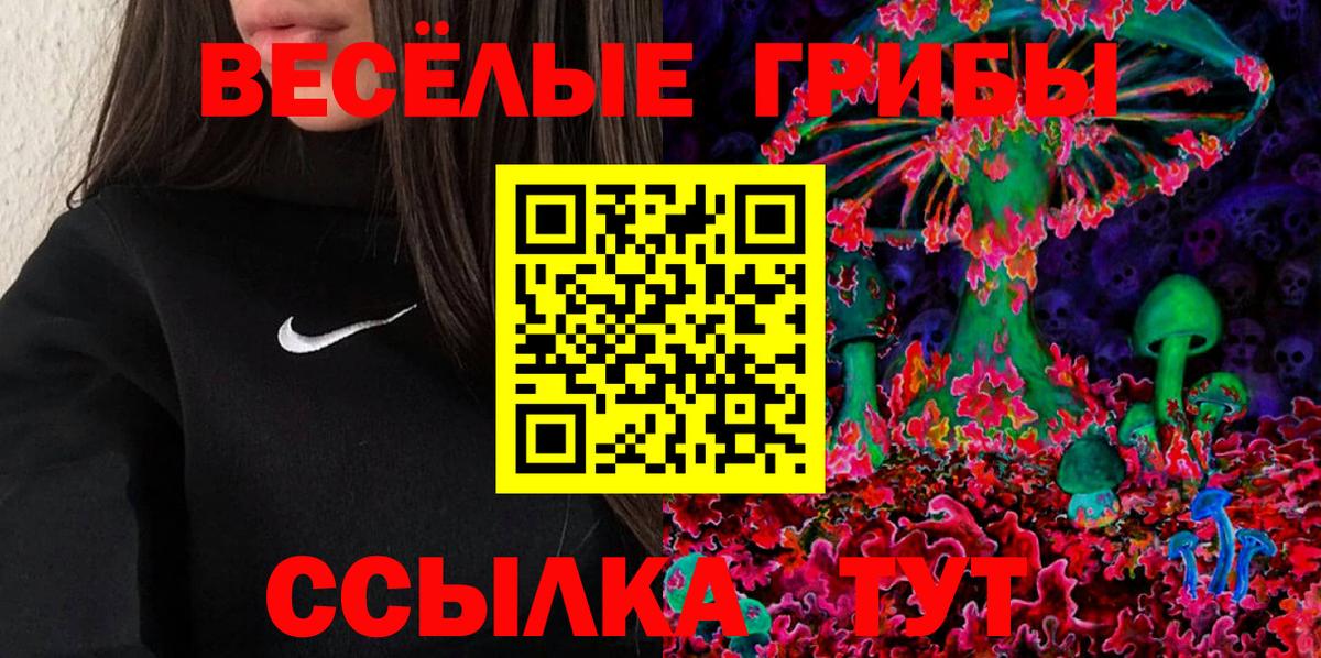 Псилоцибиновые грибы Psilocybine cubensis  Бор 