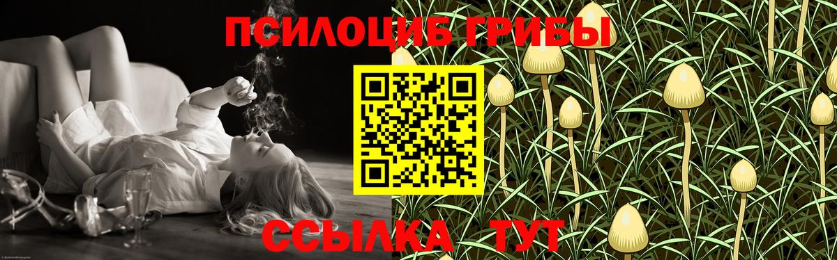 Псилоцибиновые грибы ЛСД Бор